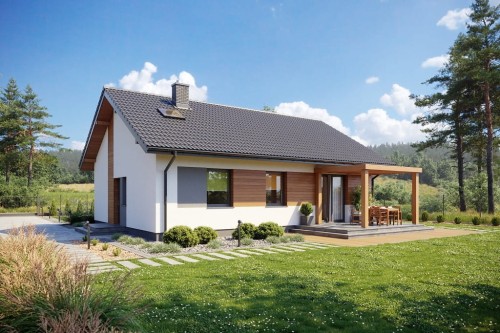 Projekt domu Briga DM-6698, parterowy, niepodpiwniczony, bez garażu - wizualizacja elewacji