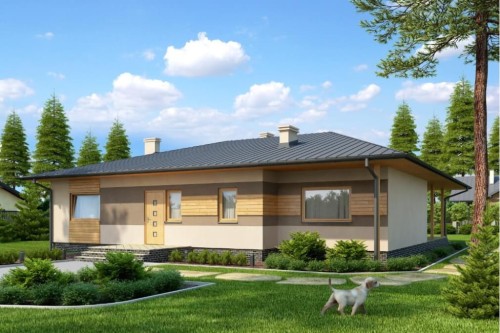 Projekt domu Chraboty N DM-6202 N, parterowy bez podpiwniczenia - kolorystyka wersja 1