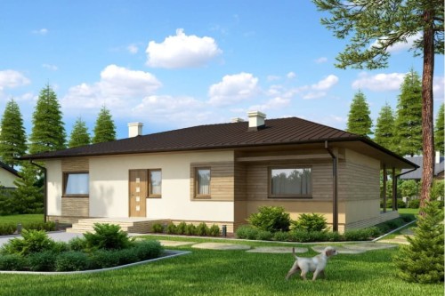 Projekt domu Chraboty N DM-6202 N, parterowy bez podpiwniczenia - kolorystyka wersja 2