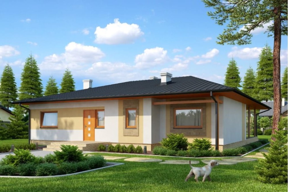 Projekt domu Chraboty N DM-6202 N, parterowy bez podpiwniczenia - kolorystyka wersja 3