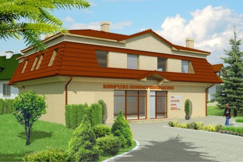 Wykończenie elewacji