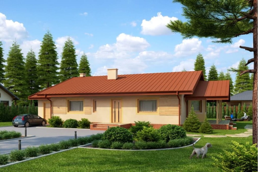 Projekt domu Basinów N DM-6210 N,  parterowy bez podpiwniczenia z garażem - kolorystyka wersja 4