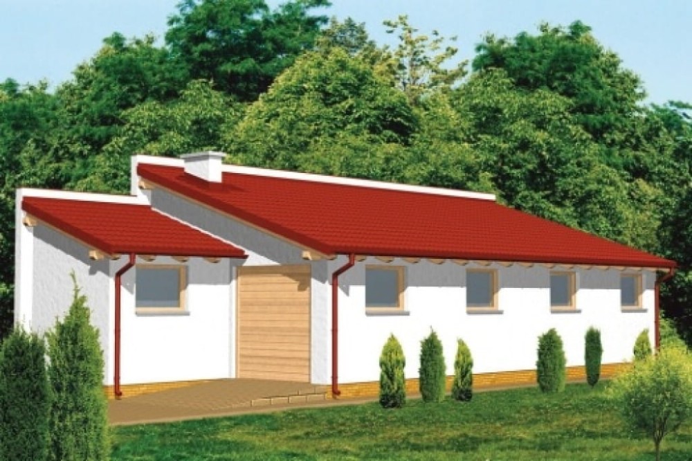 Projekt budynku gospodarczo-garażowego LZG-50, parterowy, częściowo podpiwniczony - kolorystyka wersja 2