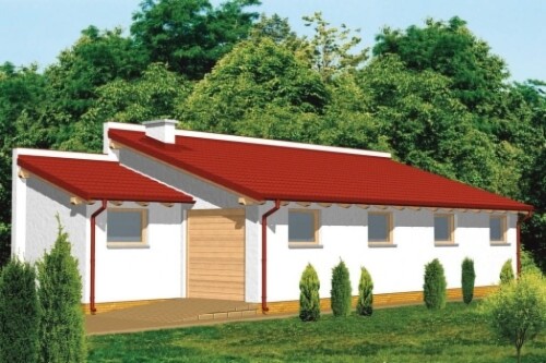 Projekt budynku gospodarczo-garażowego LZG-50, parterowy, częściowo podpiwniczony - kolorystyka wersja 2