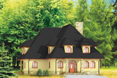 Wykończenie elewacji