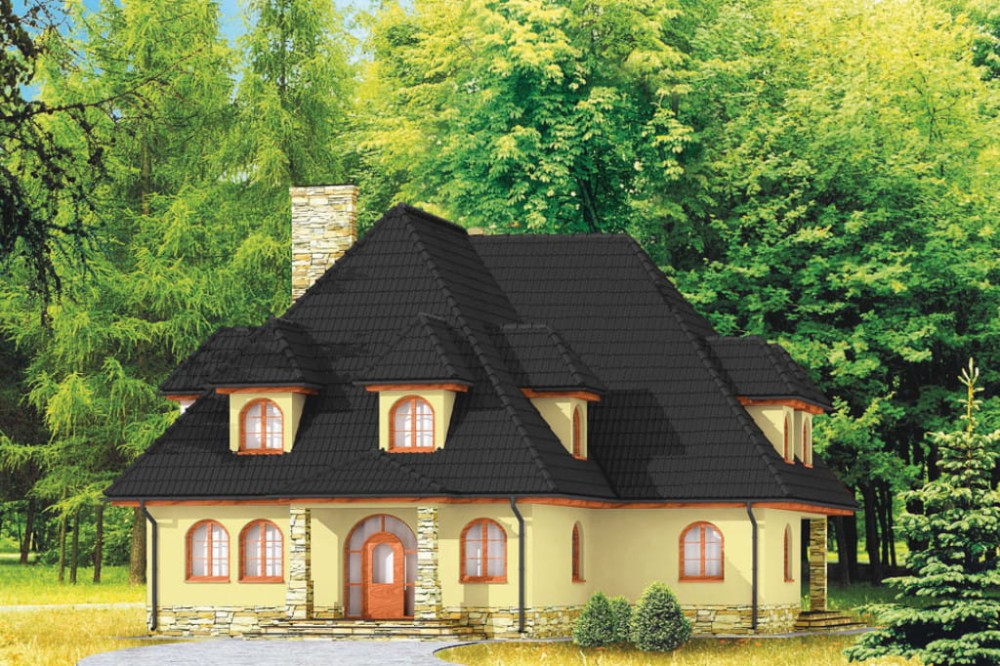 Wykończenie elewacji