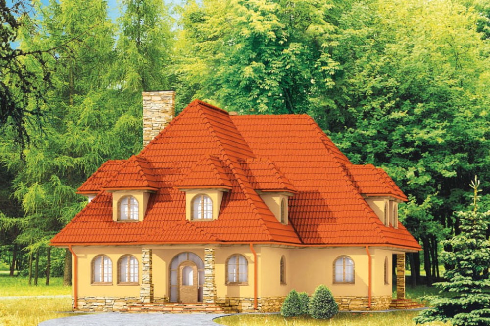 Wykończenie elewacji