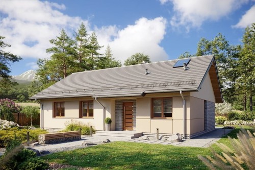 Projekt domu L-6616 C  - wykończenie elewacji