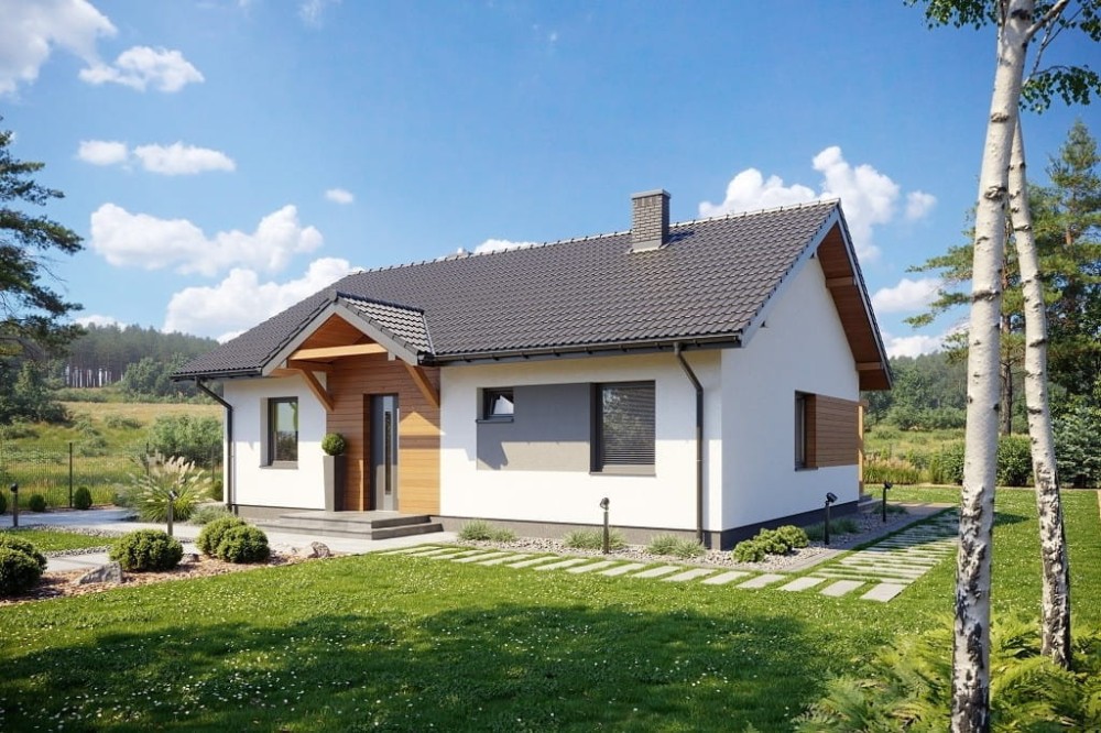 Projekt domu Briga 2 L-6698, parterowy, niepodpiwniczony, bez garażu - wizualizacja elewacji