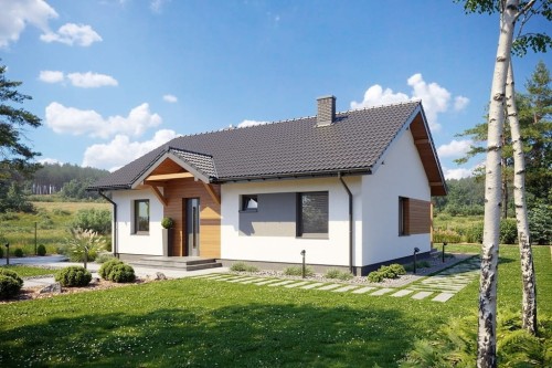 Projekt domu Briga 2 L-6698, parterowy, niepodpiwniczony, bez garażu - wizualizacja elewacji