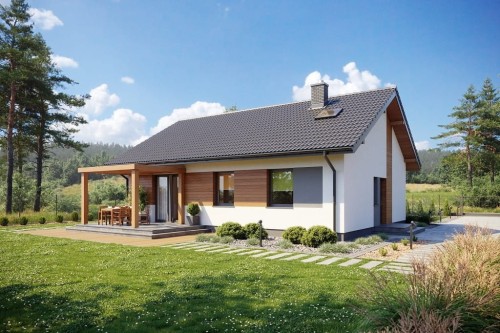 Projekt domu Briga 2 L-6698, parterowy, niepodpiwniczony, bez garażu - wizualizacja elewacji