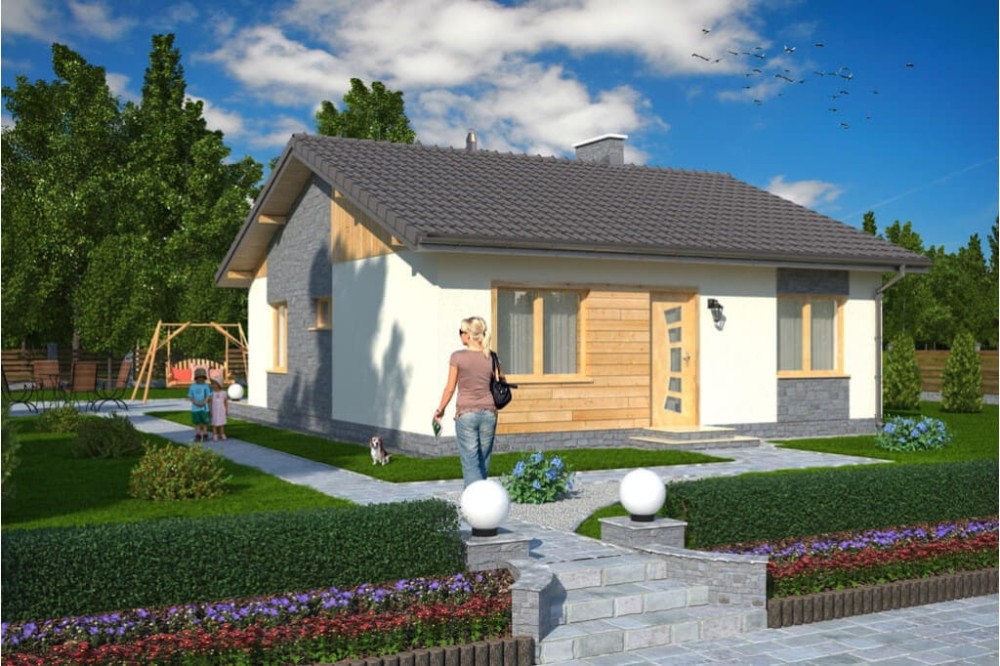 Projekt domu Naborowo tech. DM-5519 tech., parterowy, bez podpiwniczenia - kolorystyka wersja 1