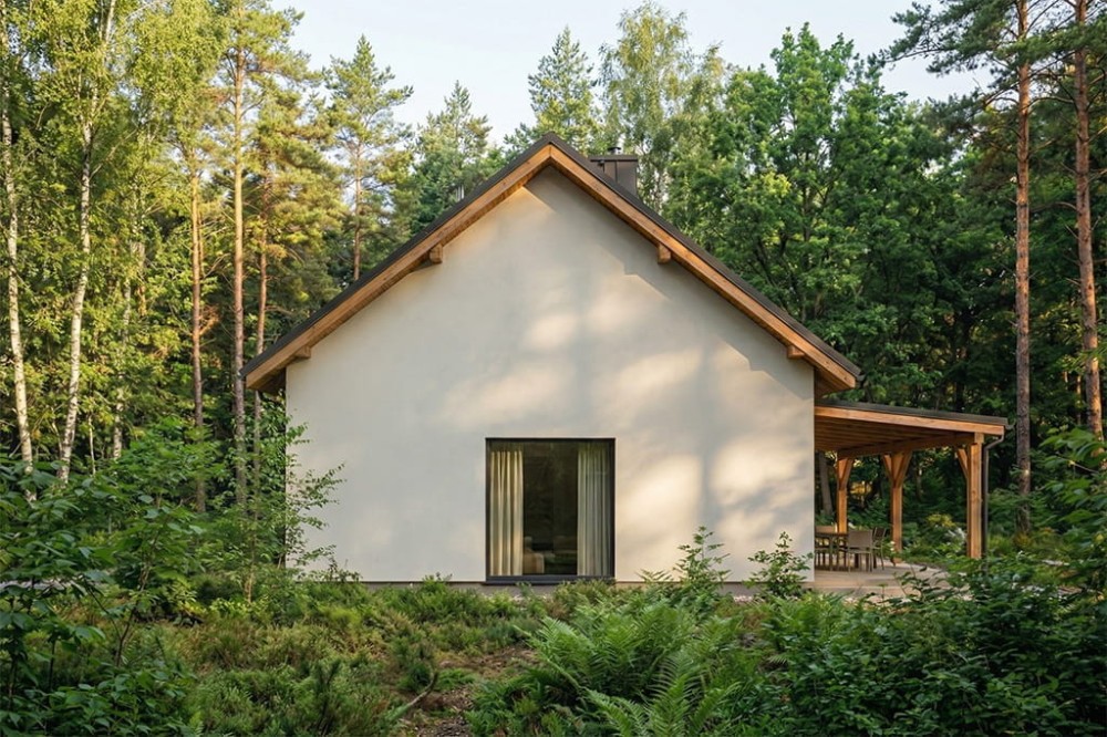 Projekt domu L-6895 - wykończenie elewacji