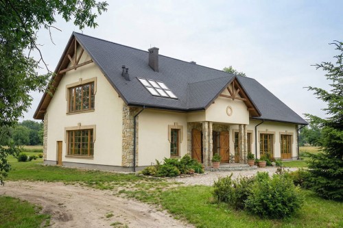 Projekt budynku gastronomicznego LK-172, parterowy z poddaszem, niepodpiwniczony, bez garażu - wizualizacja elewacji lewej