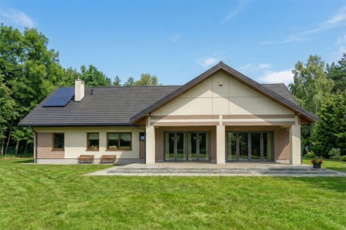 Projekt restauracji K-01 D, parterowy, niepodpiwniczony, bez garażu - wizualizacja elewacji