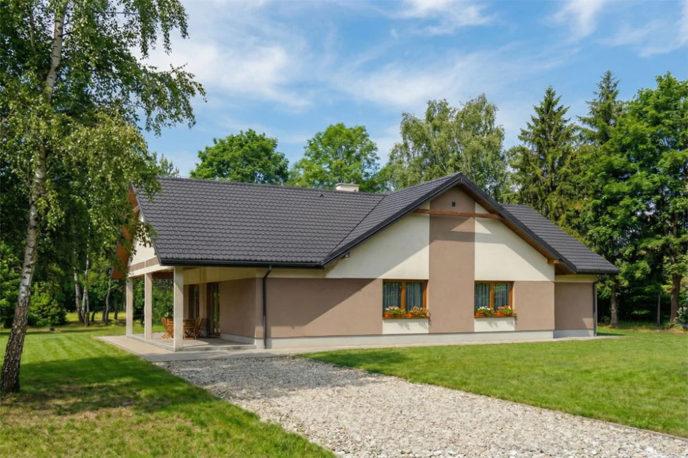Projekt restauracji K-01 D, parterowy, niepodpiwniczony, bez garażu - wizualizacja elewacji lewej
