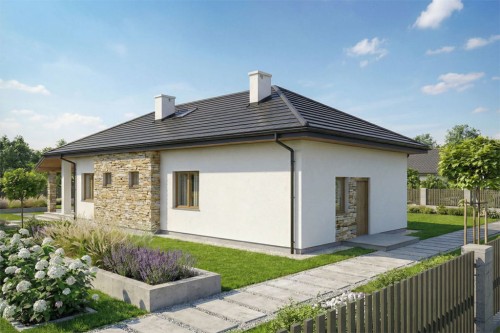 Projekt domu Renus 2 tech. L-6851 tech.,  parterowy, niepodpiwniczony, bez garażu - wizualizacja elewacji ogrodowej