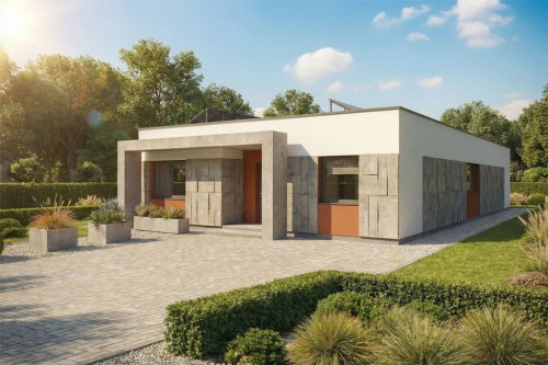 Projekt domu Nolla 2 L-6882, jednorodzinny parterowy, niepodpiwniczony, bez garażu - wizualizacja elewacji frontowej