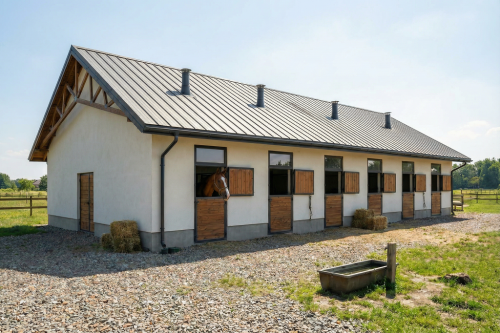 Projekt budynku stajni LZG-85 B - wizualizacja elewacji tylnej