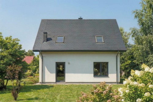 Projekt domu Rafe DM-6905, parterowy z użytkowym poddaszem, niepodpiwniczony, bez garażu - wizualizacja elewacji ogrodowej