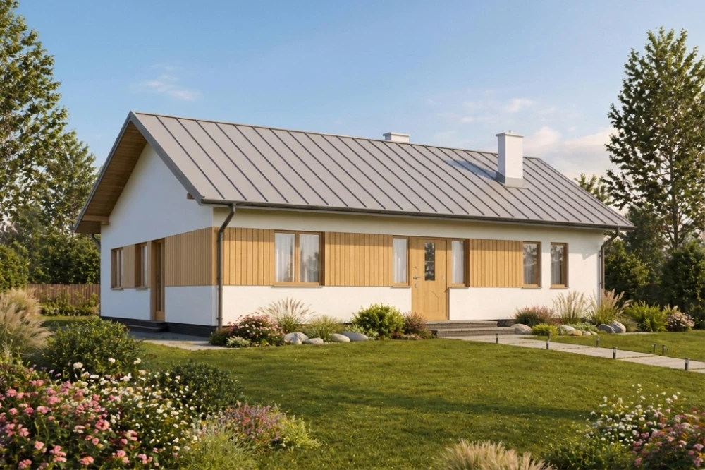 Projekt domu Bzowo N DM-6101 N, parterowy, bez garażu, bez podpiwniczenia - wizualizacja elewacji frontowej