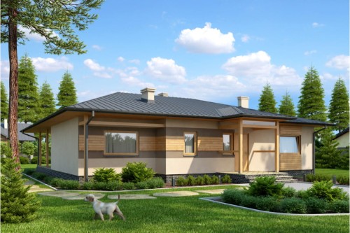 Projekt domu Werechanie tech. L-6202 tech., parterowy bez podpiwniczenia - kolorystyka wersja 1