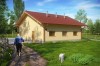 Projekt tuczarni tech. ZG-76 tech., parterowy, niepodpiwniczony, bez poddasza - kolorystyka wersja 1