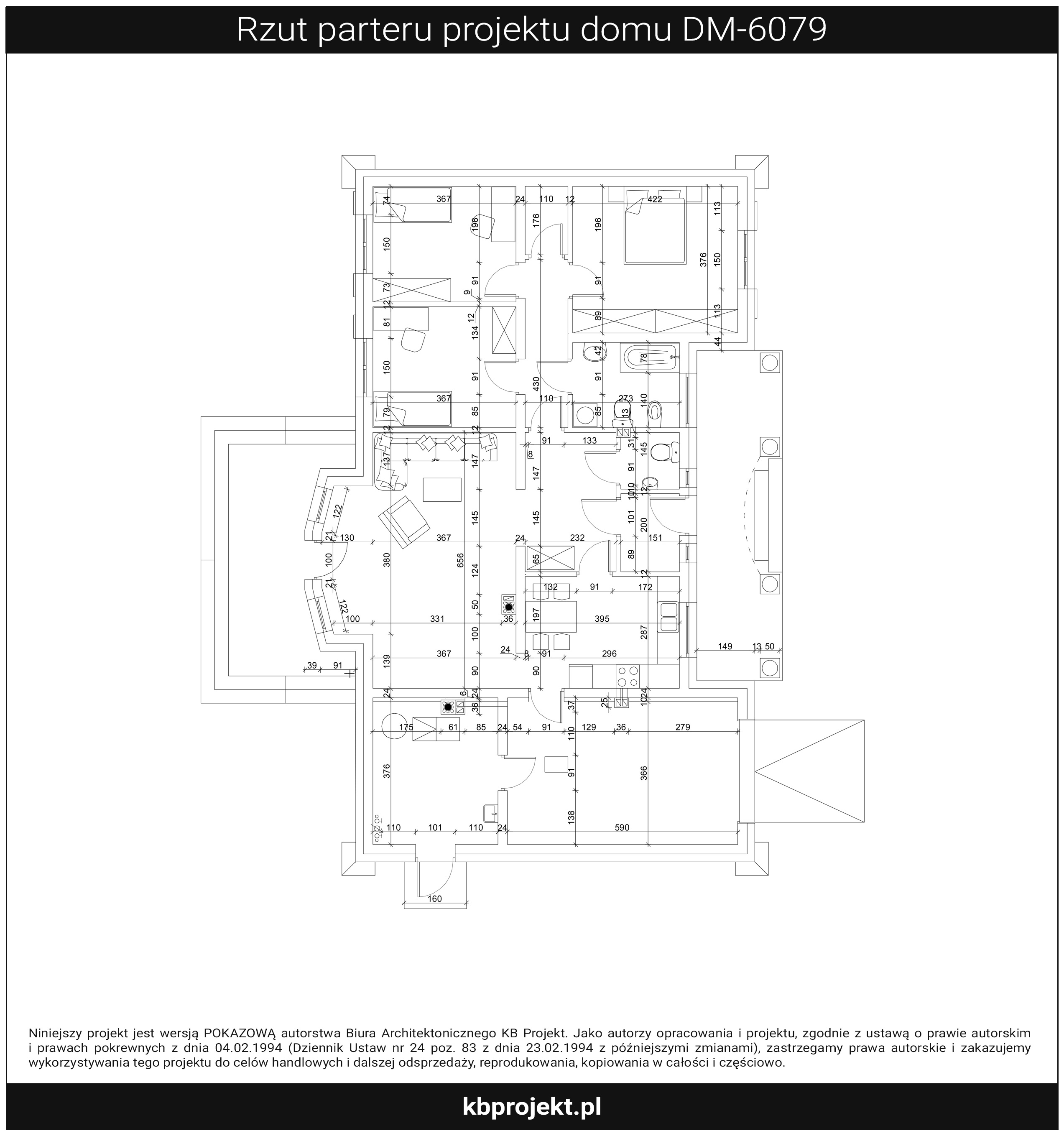 Rzut DM-6079