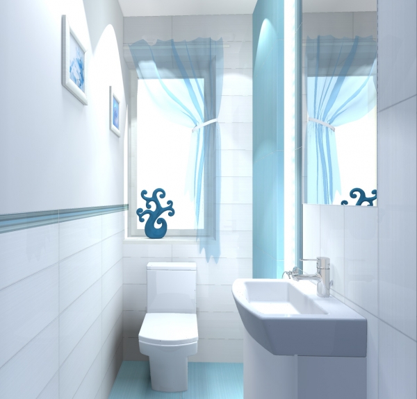WC WIDOK Z HALLU