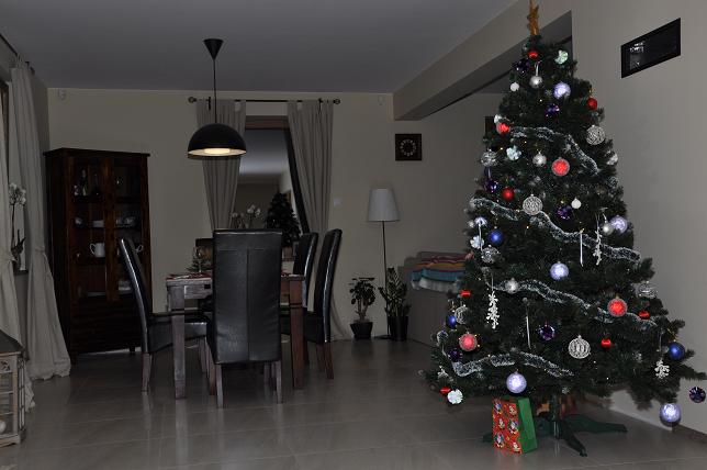Realizacja projektu Żerkowice DM-6500