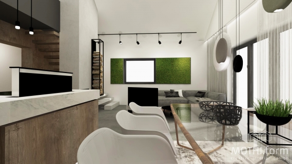 salon z aneksem kuchennym