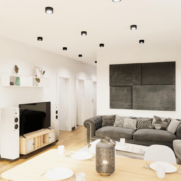 salon z jadalnią
