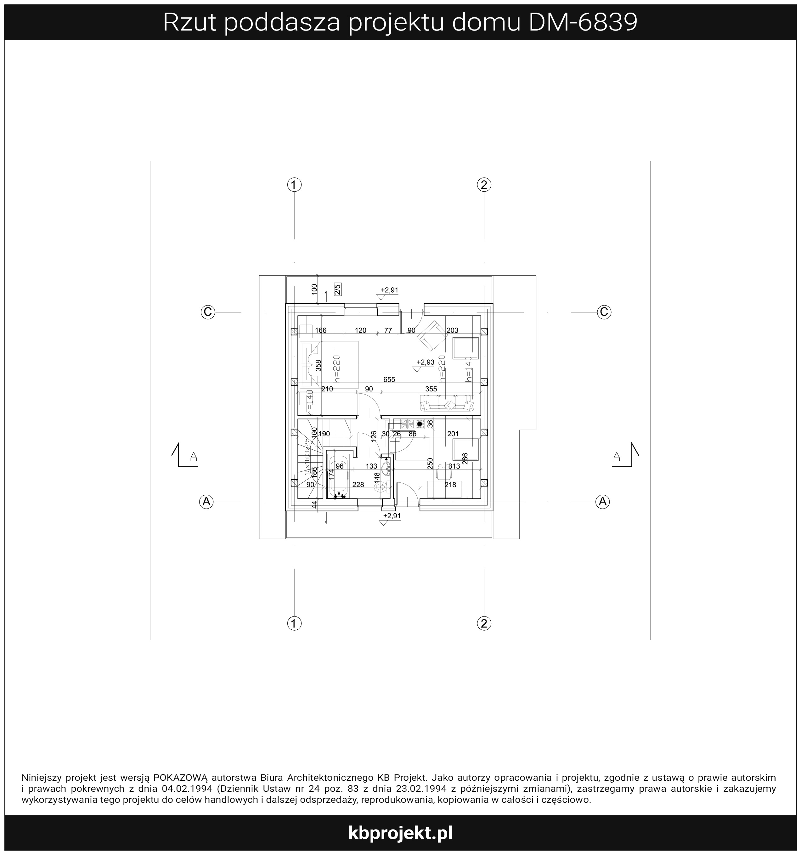 Rzut DM-6839